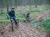 Cliquez ici pour voir l'image (IMGP2977.jpg)