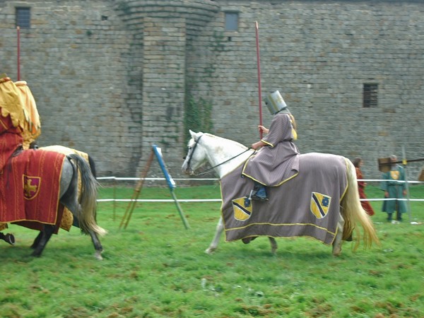 IMGP3269