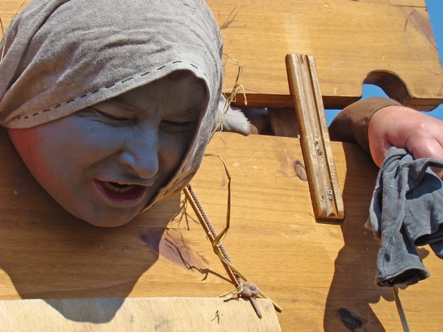 DSC03242