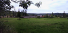 Cliquez ici pour voir l'image (80.jpg)