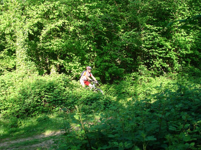 DSC01781