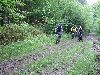 Cliquez ici pour voir l'image (imgp2532.jpg)