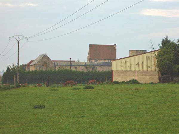 IMGP3324