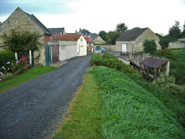 IMGP3339