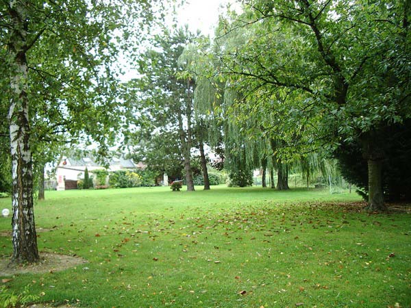 IMGP3353