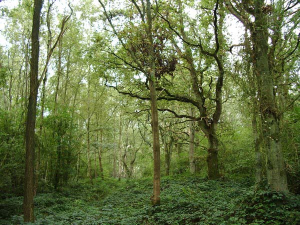 IMGP3360